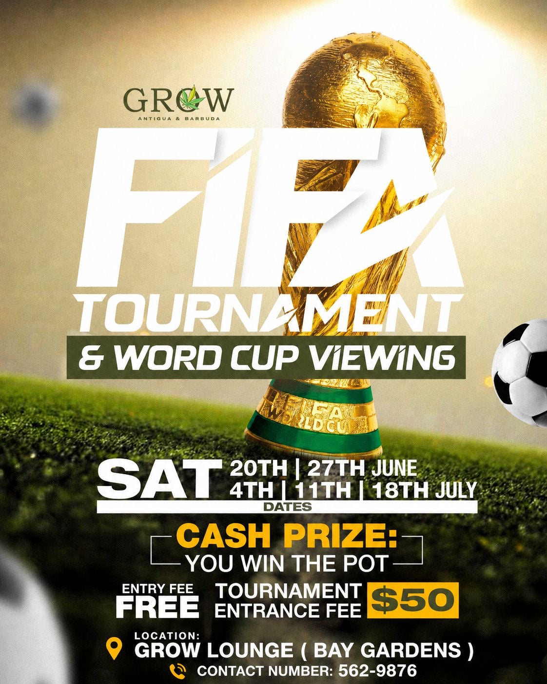 FIFA TOURNAMENT & WORD CUP VIEWING
