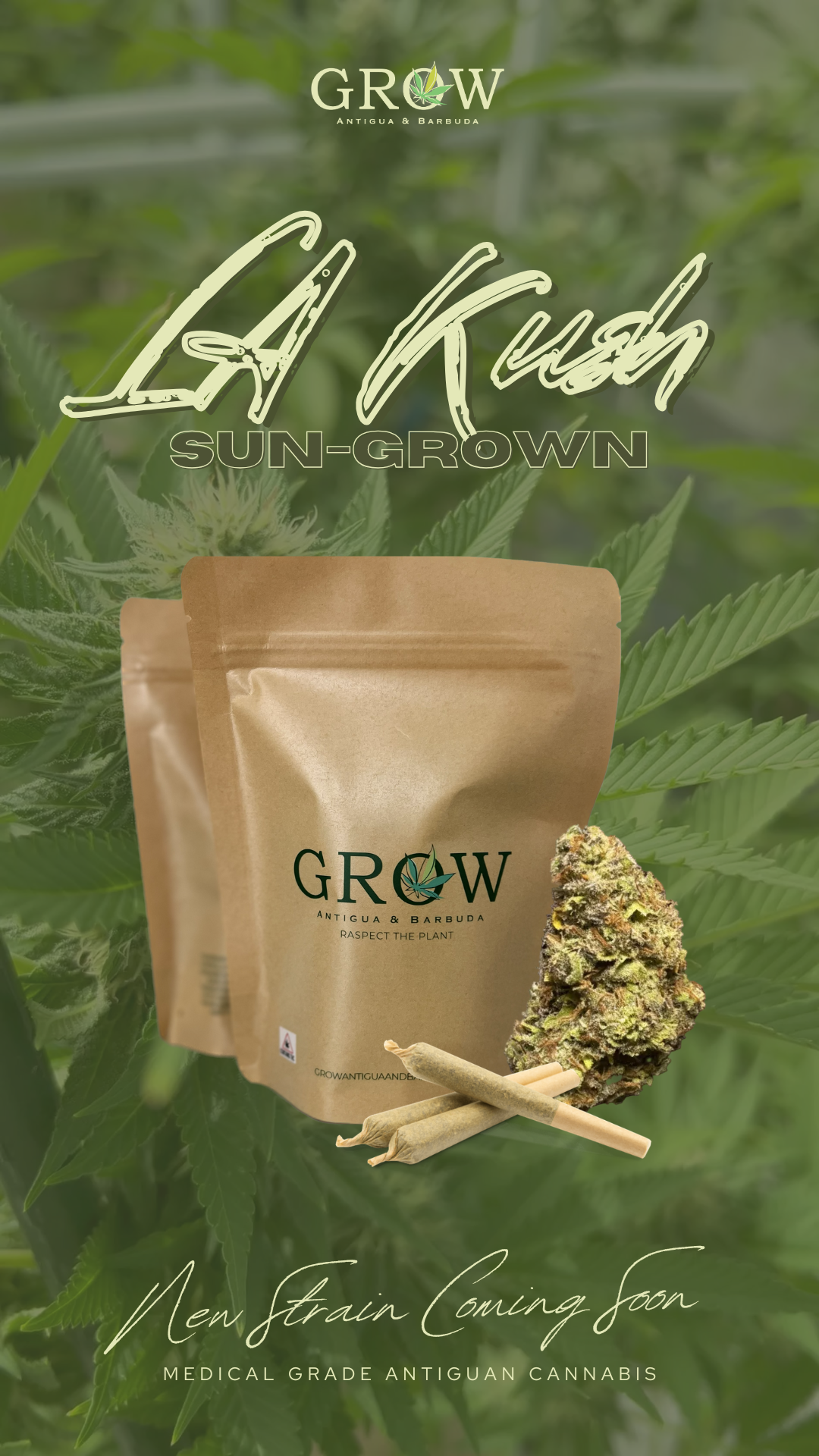 🚨 NEW STRAIN ALERT 🚨