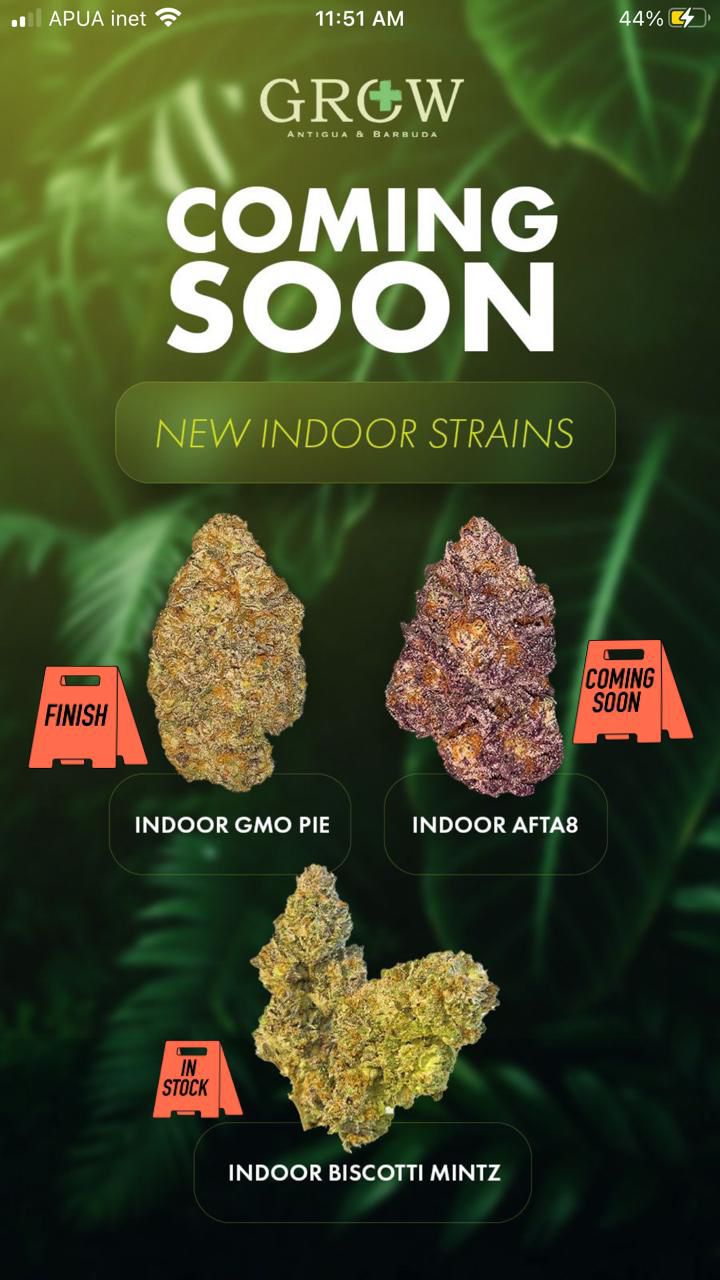 AFTA8 In-Store Release