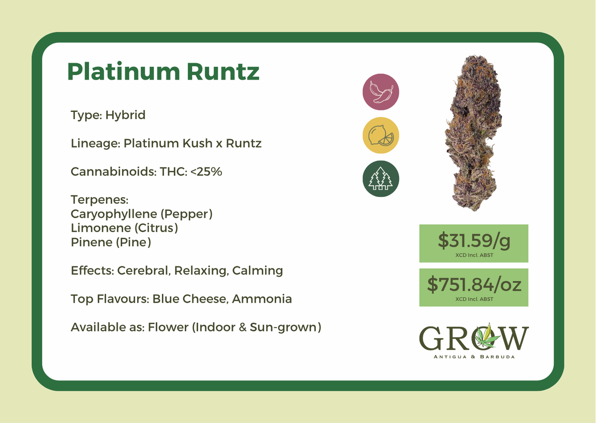 Platinum Runtz Flower