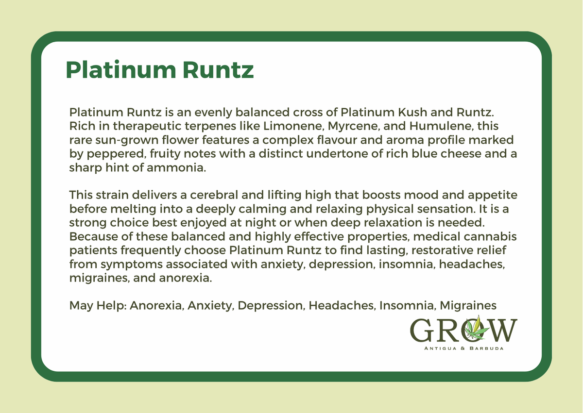 Platinum Runtz Flower