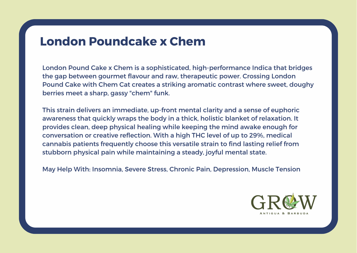 London Poundcake x CHEM Flower