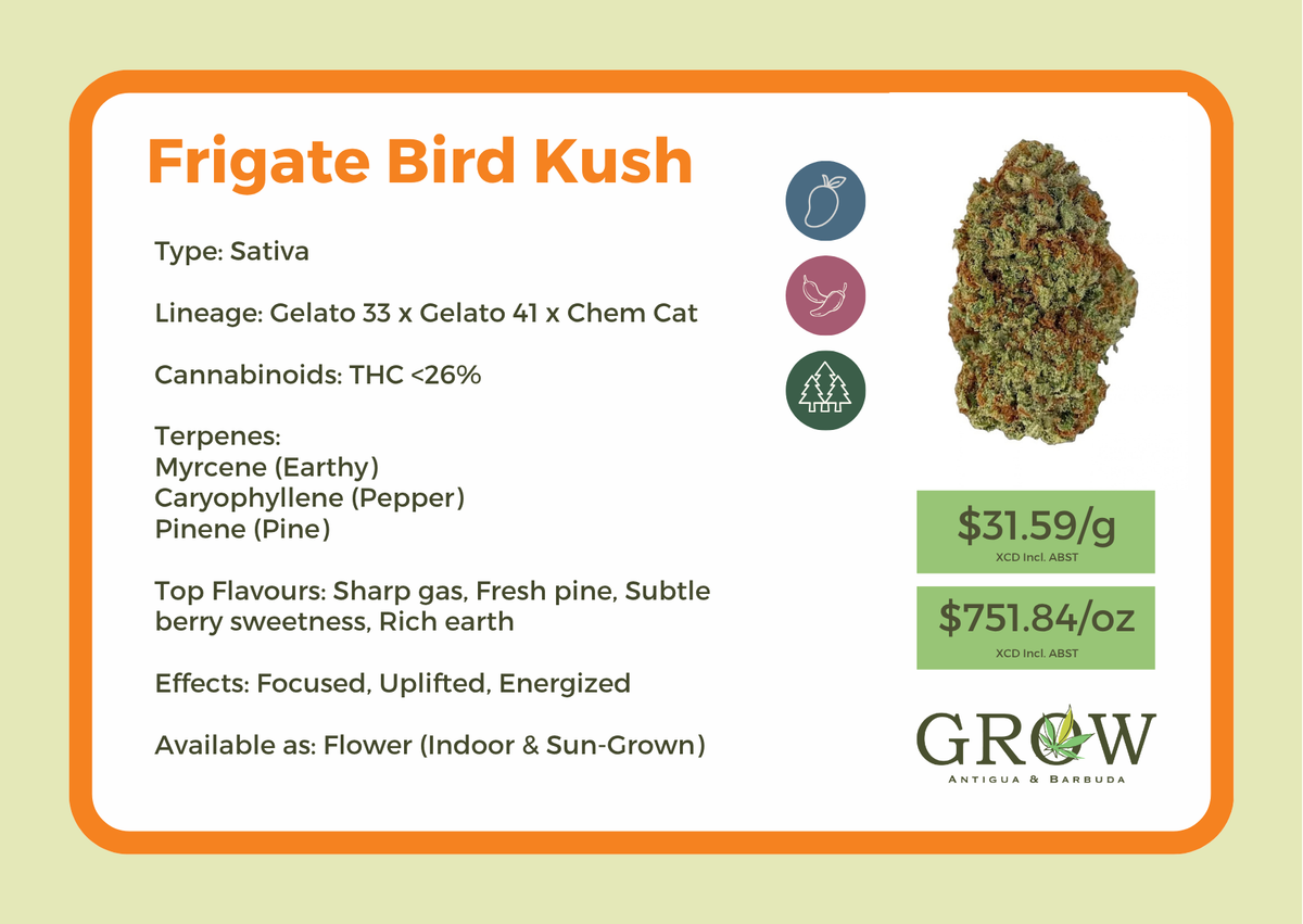 Frigate Bird Kush Flower