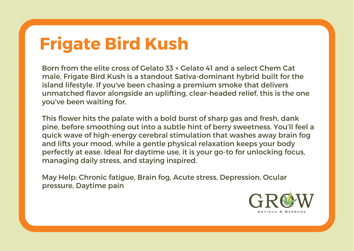 Frigate Bird Kush Flower