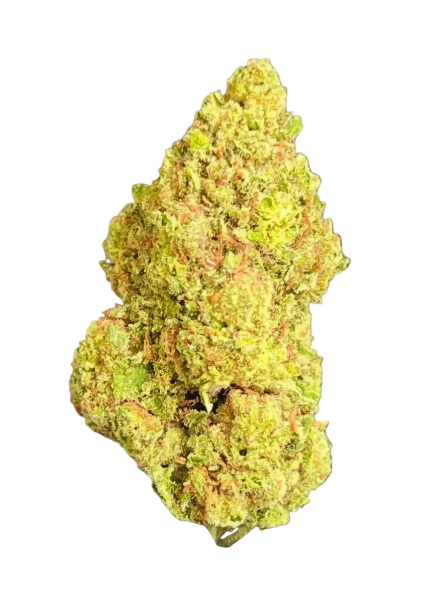 Apple Fritter Flower