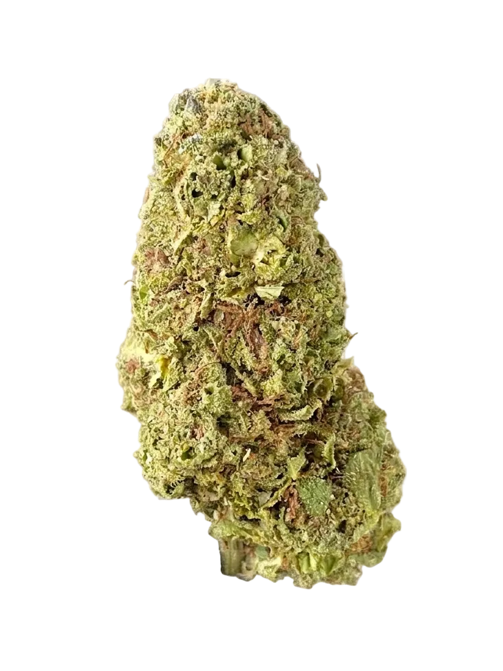 Biscotti Mintz Flower