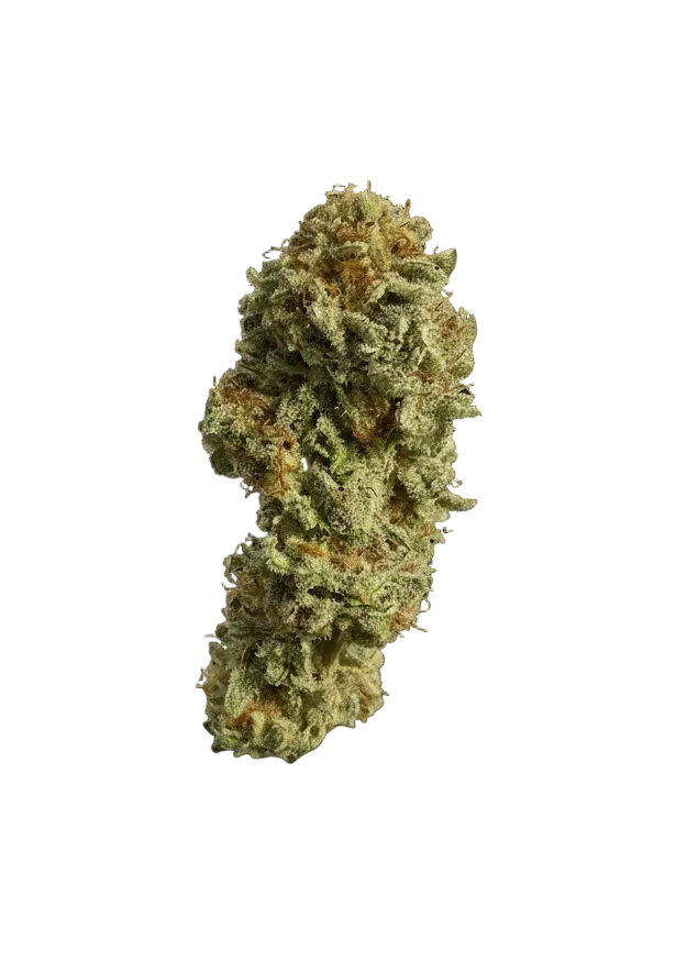 Chief Kief