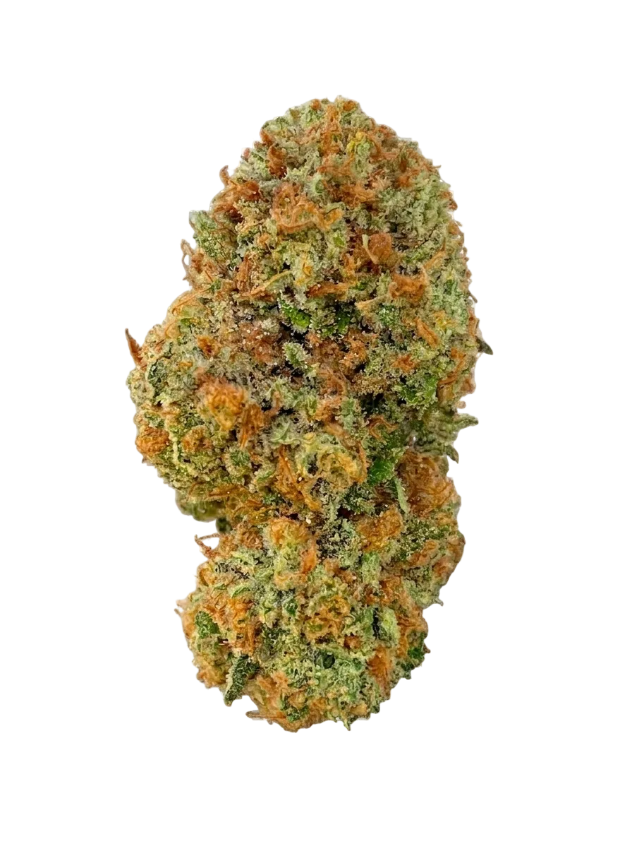 Dumbz Tree Flower