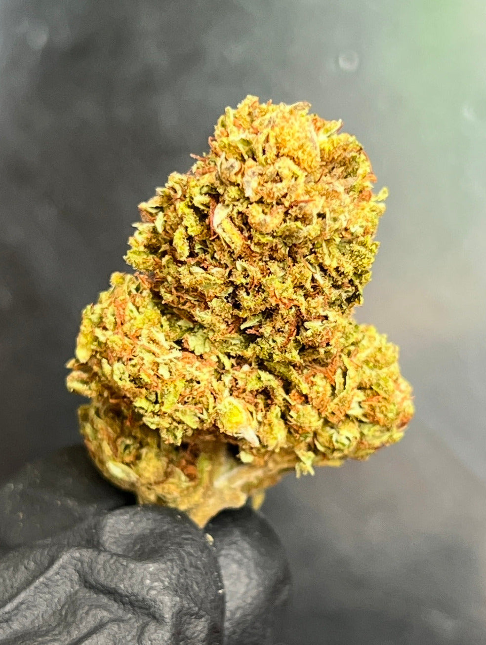 CBD Empress Flower