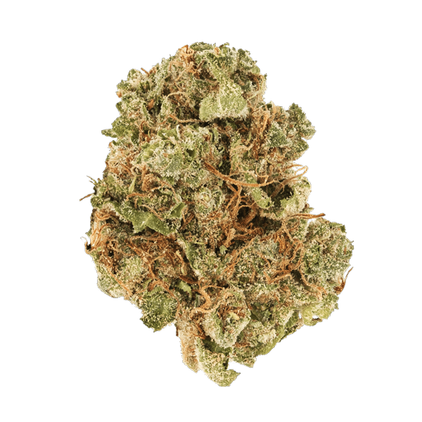 Golden Apple V2 Flower