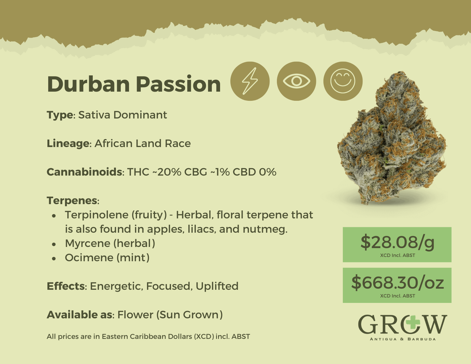 Durban Passion Flower