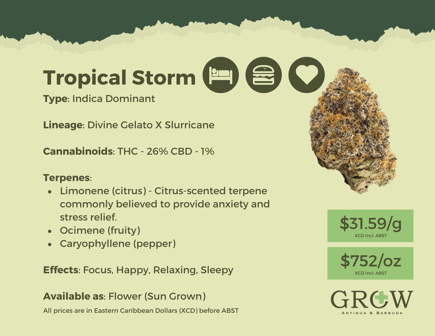 Tropical Storm Flower