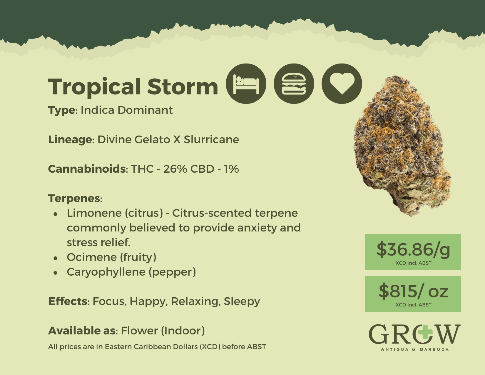 Tropical Storm Flower