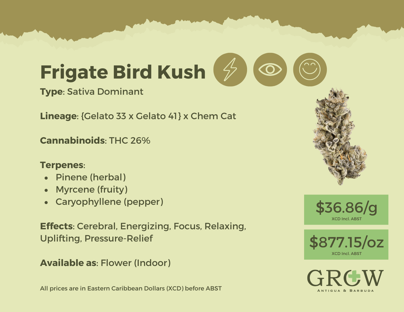 Frigate Bird Kush Flower
