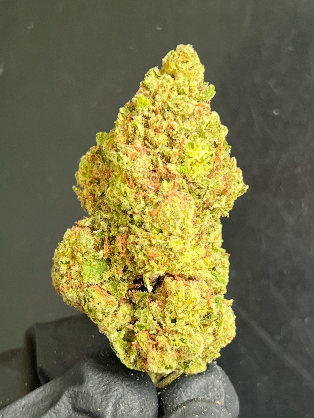 Apple Fritter Flower