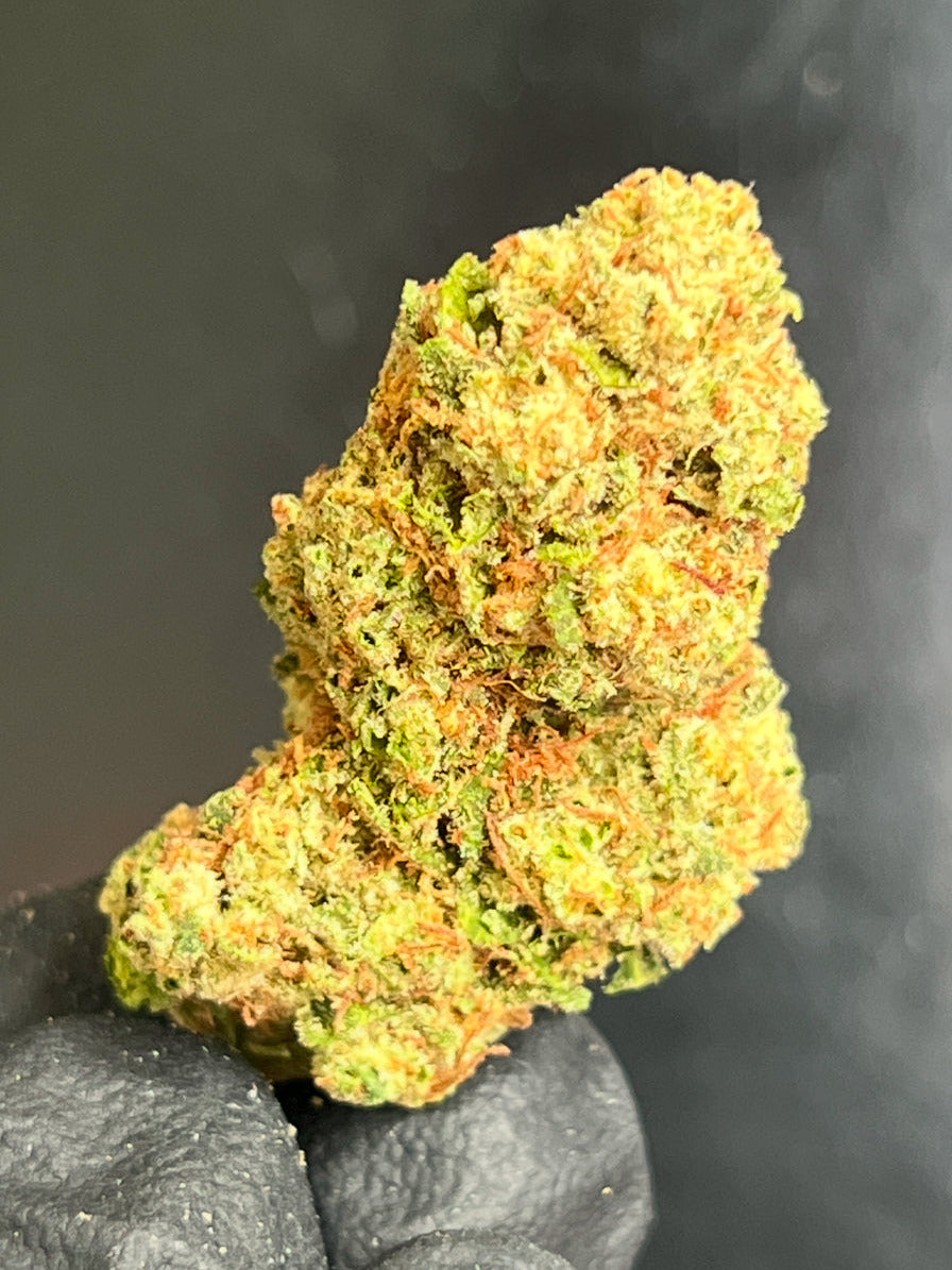 London Poundcake x CHEM Flower