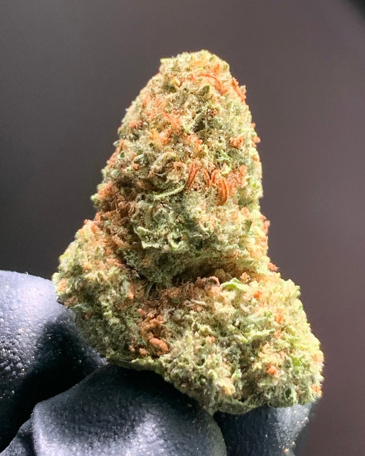 Sunday Driver Flower