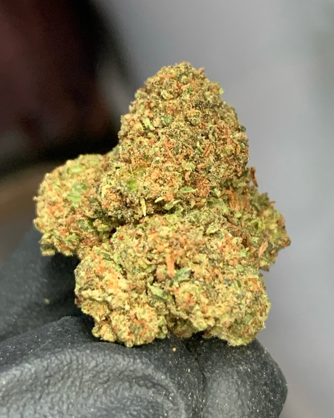 Secret Cookies x Kush Mints Flower