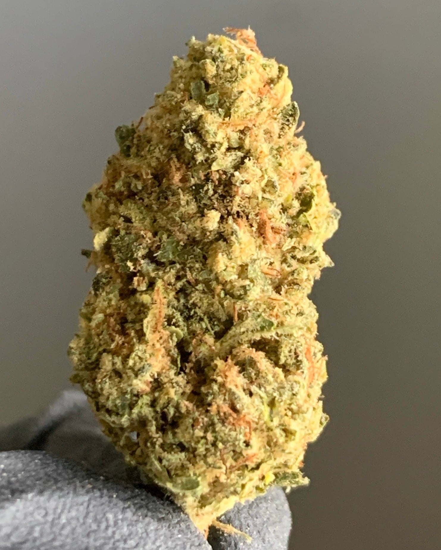 Pancake Grease Flower