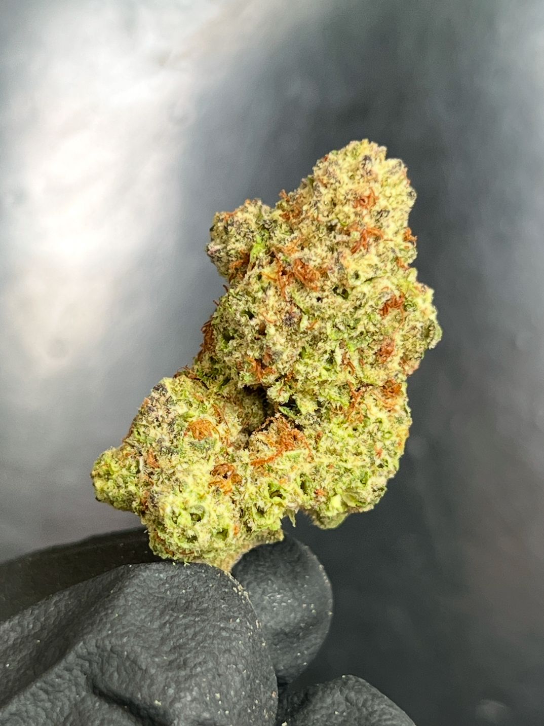 Platinum Runtz Flower