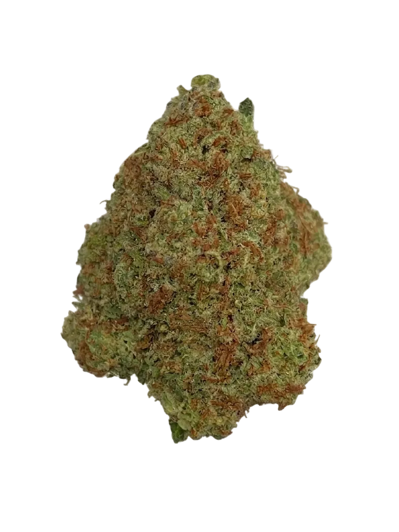 Watermelon Grape Shardz Flower